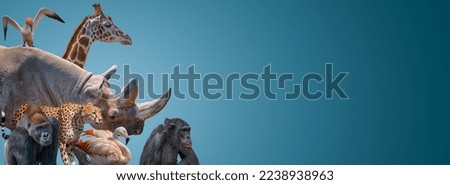 Banner with vulnerable wildlife animals in Africa, rhino, cheetah, gorilla, giraffe, elephant, flamingo, chimpanzee at blue sky gradient background with copy space. Concept biodiversity conservation.