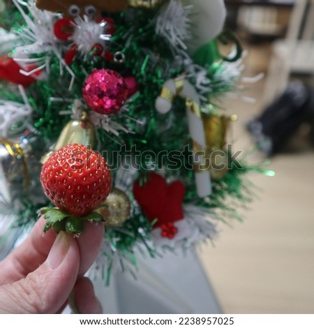 fresh strawberries holding on hand with christmas tree design for harvest and abundance concept