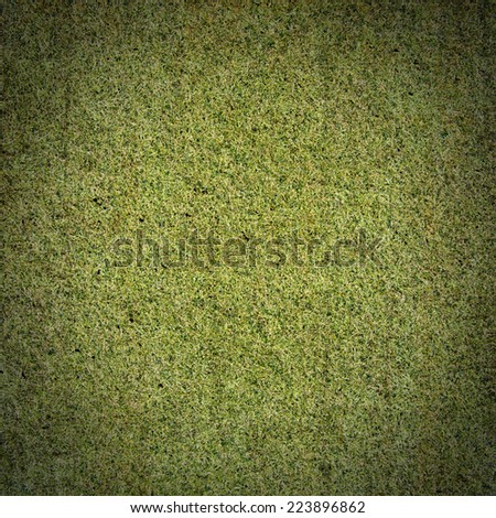 Texture of grass. Green background. 