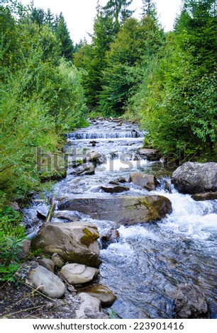 Beautiful view of mountain river in summer