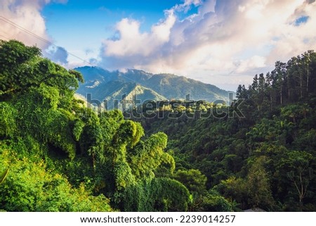 The Blue Mountains in Jamaica, Caribbean, Middle America Royalty-Free Stock Photo #2239014257