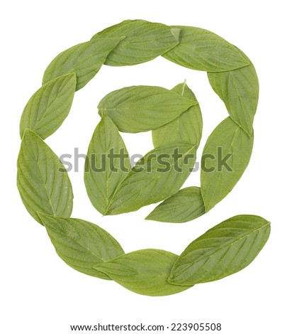 At. Alphabet made of leaves isolated on white.
