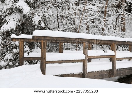 An old wooden bridge in the forest. Winter landscape. 