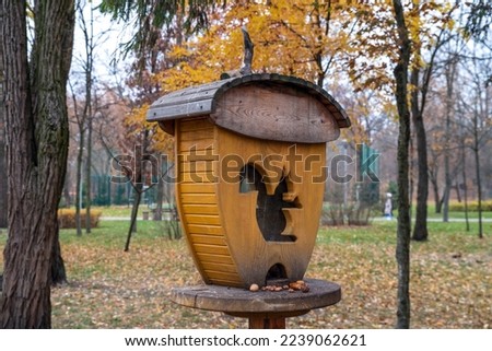 A feeder for squirrels in the Pushcha-Voditsa park. The concept of animal care, support and protection of animals. Selective focus, horizontal photo. Kyiv, Kiev, Ukraine, Europe.