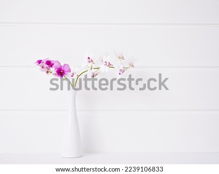 Small Bouquet of white-purple Orchids flowers in vase with white wall background ,Styled stock image Mockup for text Artwork Quotes lettering Banner Template Mother's Day cooktown Dendrobium