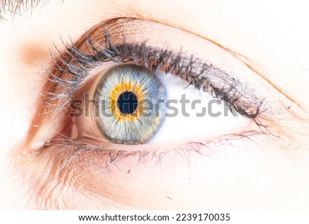 detailed blue eye macro picture