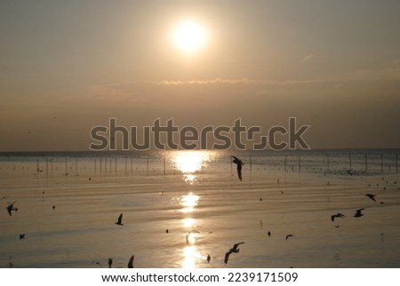 Magic sunset by the sea Royalty-Free Stock Photo #2239171509