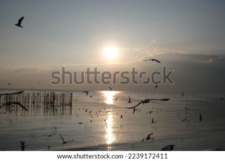 Magic sunset by the sea Royalty-Free Stock Photo #2239172411