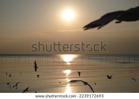 Magic sunset by the sea Royalty-Free Stock Photo #2239172693