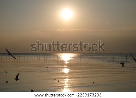 Magic sunset by the sea Royalty-Free Stock Photo #2239173203