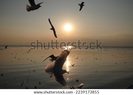 Magic sunset by the sea Royalty-Free Stock Photo #2239173855