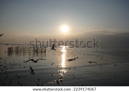 Magic sunset by the sea Royalty-Free Stock Photo #2239174067