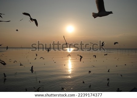Magic sunset by the sea Royalty-Free Stock Photo #2239174377