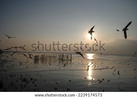 Magic sunset by the sea Royalty-Free Stock Photo #2239174573