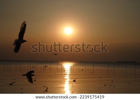 Magic sunset by the sea Royalty-Free Stock Photo #2239175419