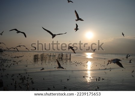 Magic sunset by the sea Royalty-Free Stock Photo #2239175653
