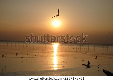 Magic sunset by the sea Royalty-Free Stock Photo #2239175781