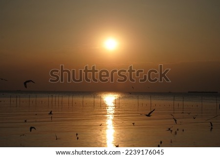 Magic sunset by the sea Royalty-Free Stock Photo #2239176045