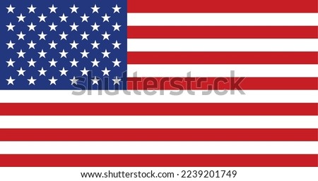 flag of America. USA flag. Distressed Usa flag. Clip art. Only commercial use