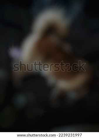 Defocused or blurred abstract background of a small brown puppy eating something from its plate