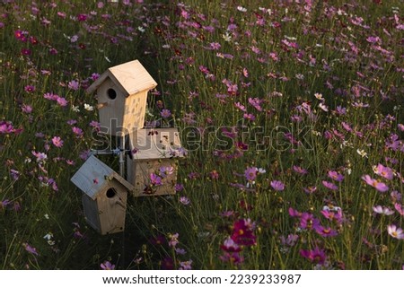 This picture is a birdhouse in flower garden.