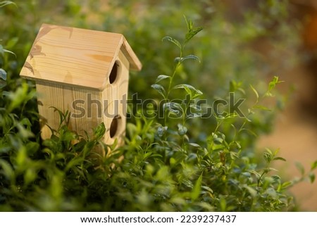 These are pictures of birdhouse located in different places.