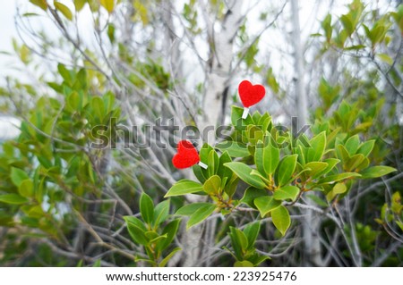 two red hearts in the tree