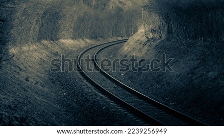 View of the railroad track going to the side. Dark, gloomy, disturbing picture. Feeling of danger and uncertainty. Along the road impenetrable thickets of bushes, dry tall grass