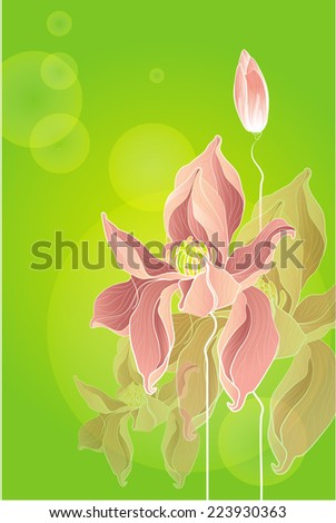 Delicate magnolia flower on a green background