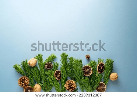 Christmas background with fir branches, pine cones, dried oranges and nuts, blue background. Winter template, copy space for text