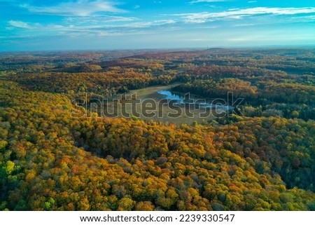 Aerial drone shot of a Marsh surrounded by the stunning fall colors in the forest