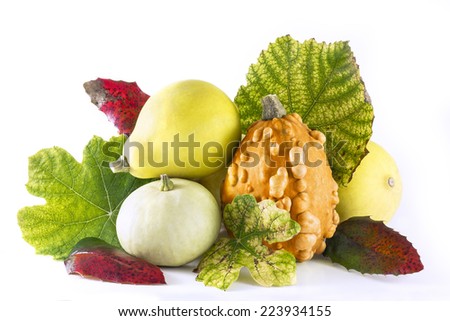 Group of pumpkins with leafs on white background
