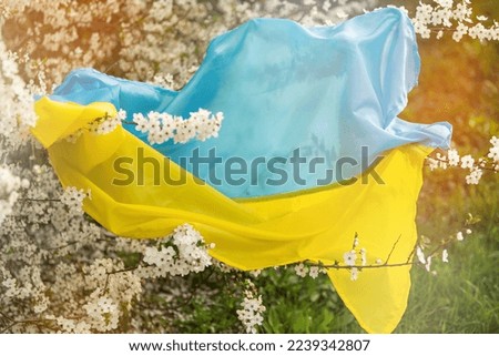 Spring flowering trees with flowers against the background of the flag of ukraine. Spring background.