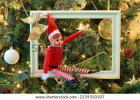 A Christmas Soft Toy Elf Sat In A Picture Frame Resting On A Festive Tree.