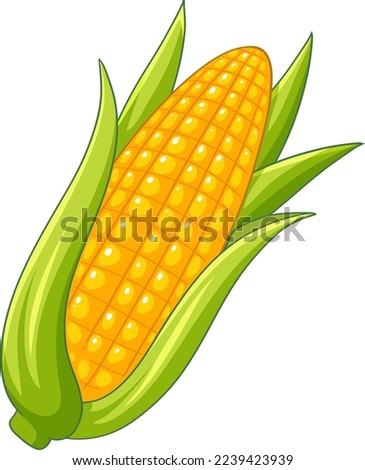 A simple corn cartoon illustration