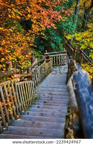 Wood boardwalk stairs leading down through peak fall foliage forest
