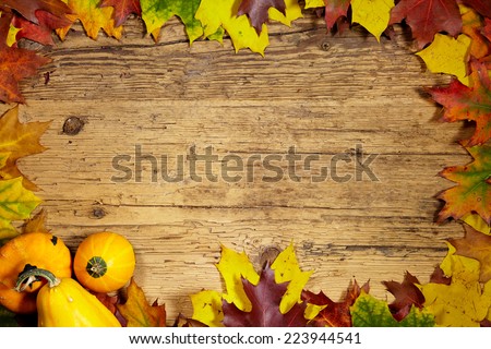 Thanksgiving Autumn Fall background with red, brown and yellow leaves and pumpkin