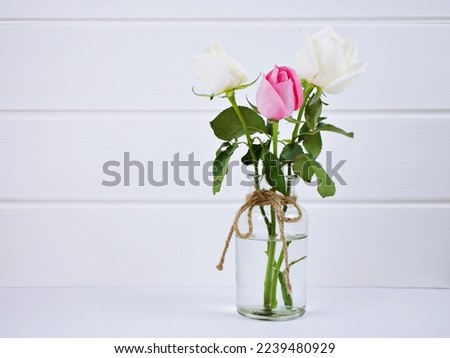 Flowers in vase with white wall background Pink white rose in glass vase Styled stock image Mockup for text Artwork Quotes lettering Banner Template Mother's Day Text message Copy space Valentine's 