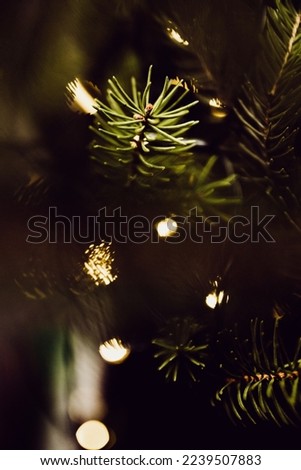 Chirstmas tree branch closeup against golden, yellow lights with nice bokeh looks like a stars. Royalty-Free Stock Photo #2239507883