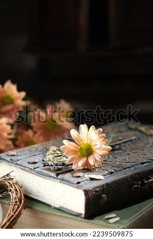 Peach Chrysanthemum flower on antique books with dark background. Stiil life and romantic photography. Bunga Krisan