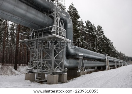 pipeline,pictured pipeline in winter against the background of a snow-covered forest and gray sky close-up