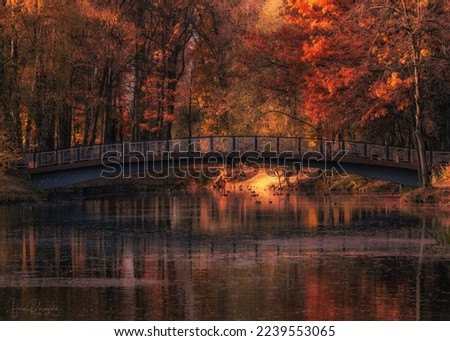 Autumn colors.
Picture taken in Ivano-Frankivsk, western Ukraine.