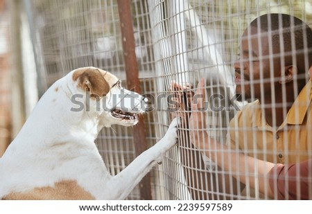 Dog, adoption and animal shelter with a black man volunteer working at a rescue center for foster care. Pet, charity and community with a male and puppy at a kennel for adopting canine pets Royalty-Free Stock Photo #2239597589