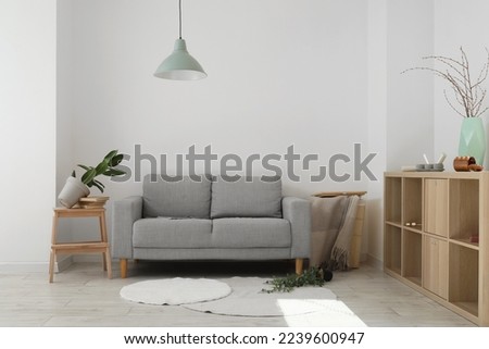 Interior of messy living room with grey sofa and fallen houseplants Royalty-Free Stock Photo #2239600947