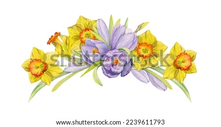 Watercolor hand drawn composition with spring flowers, crocus, snowdrops, daffodils, bow, gift tag. Isolated on white background. For invitations, wedding, greeting cards, wallpaper, print, textile