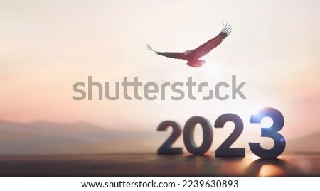 2023 New Year Bright rising sun and sunrise and an eagle flying high in the sky with its wings wide open
