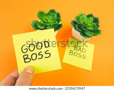 Employee chooses good or bad boss. Leadership, management skills, business, teamwork concept Royalty-Free Stock Photo #2239673947