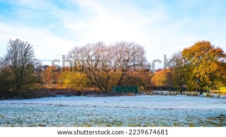winter morning on meadow with hoarfrost with nature background.  , late autumn with hoarfrost covered on grass