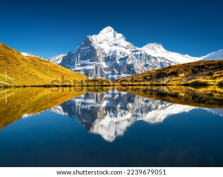High mountains and reflection on the surface of the lake. Landscape in the highlands in the summertime. Dark sky. Photo in high resolution. Grindelwald, Switzerland. 
