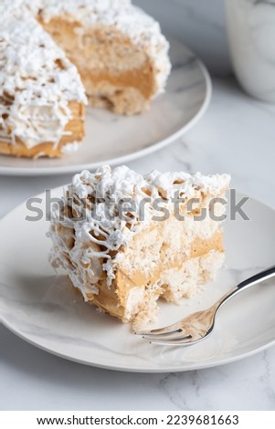A piece of delicious vanilla cake and cake on a light table